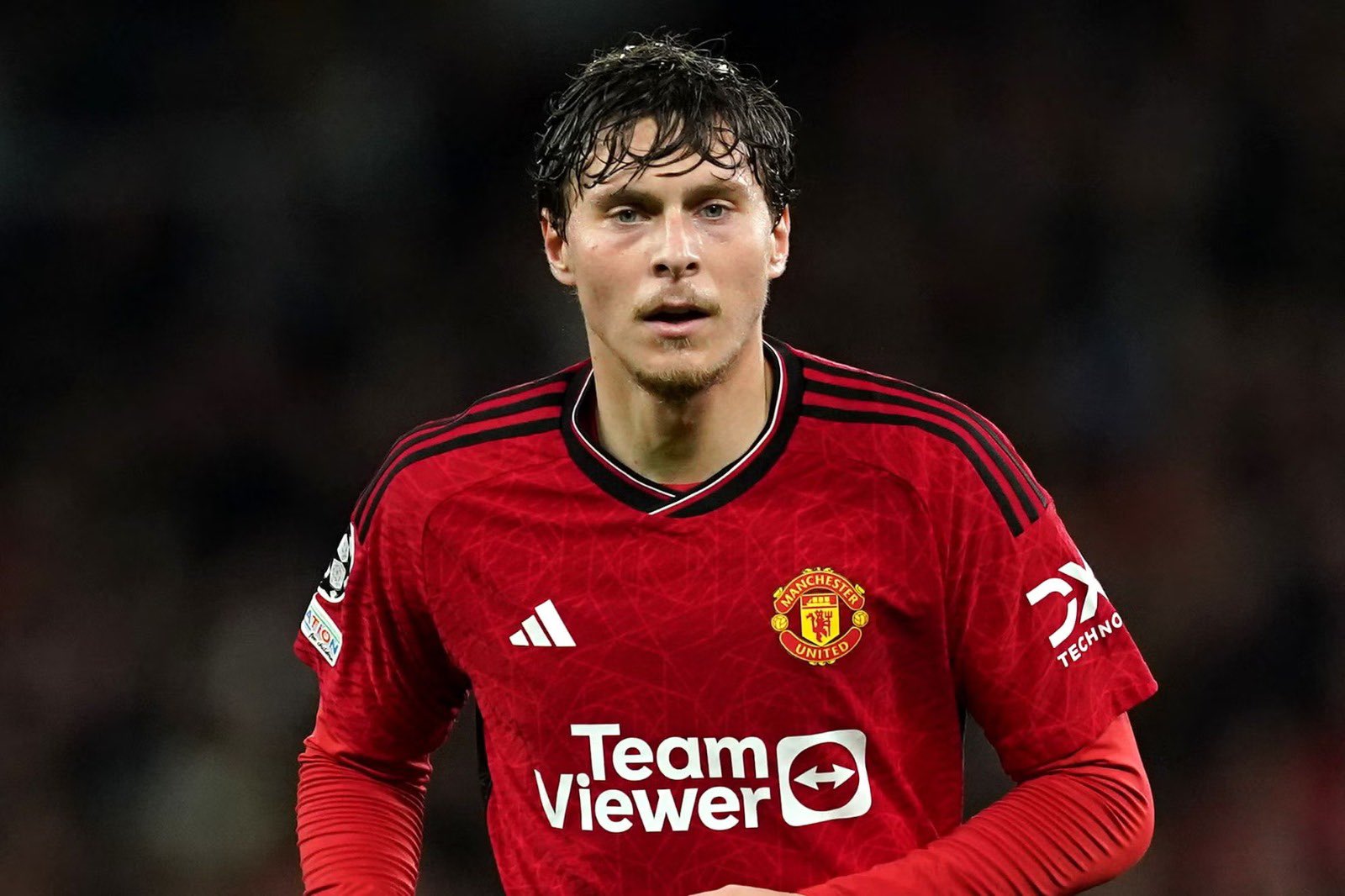 victor lindelof